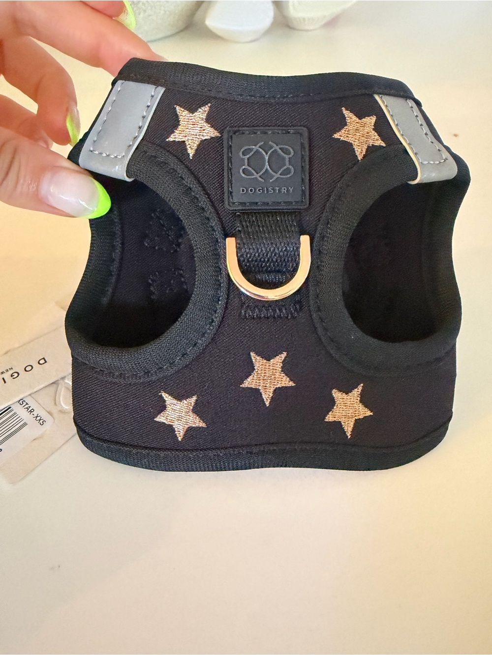 Black Dog Harness with Gold Star Accents